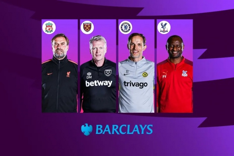 将迅速成长 将迅速成长